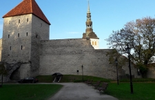 14724364_1229876947087414_3915214771250946812_n