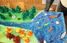 ecologizare_2