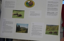 ecologizare_4