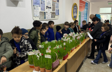 WhatsApp-Image-2026-04-02-at-18.29.35