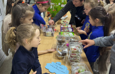 WhatsApp-Image-2026-04-02-at-18.29.351